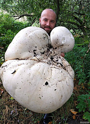 kliknutím fotku zvětšíte