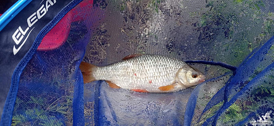 kliknutím fotku zvětšíte
