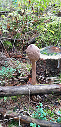 kliknutím fotku zvětšíte