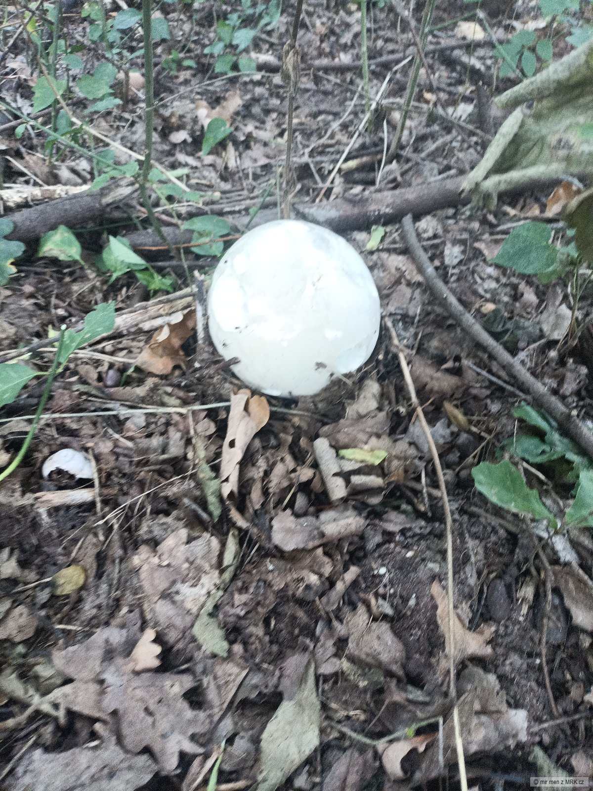 kliknutím fotku zvětšíte