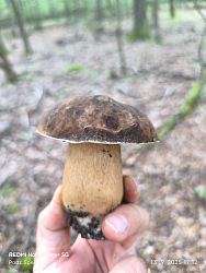 kliknutím fotku zvětšíte