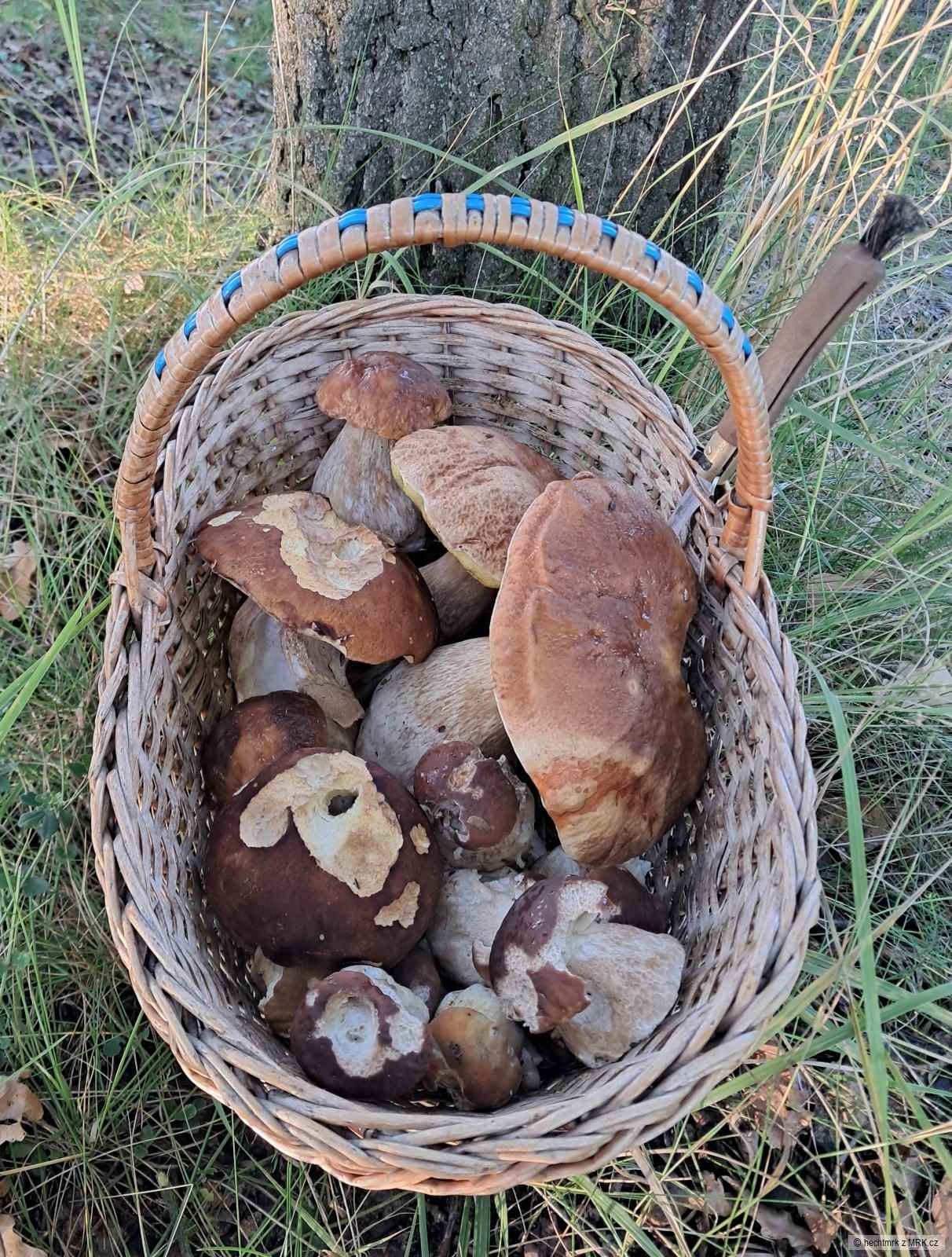 kliknutím fotku zvětšíte