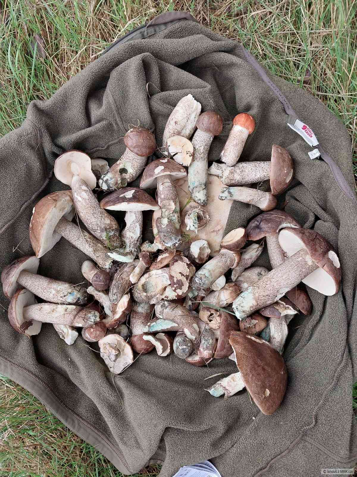 kliknutím fotku zvětšíte