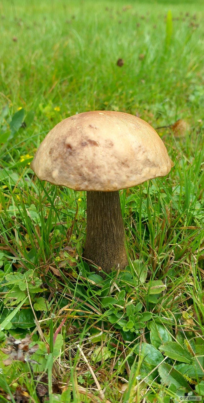kliknutím fotku zvětšíte