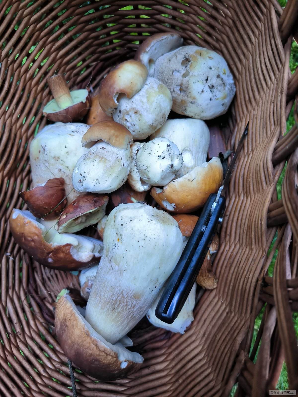 kliknutím fotku zvětšíte