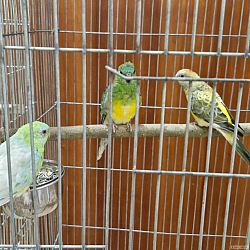 kliknutím fotku zvětšíte