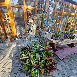 kliknutím fotku zvětšíte