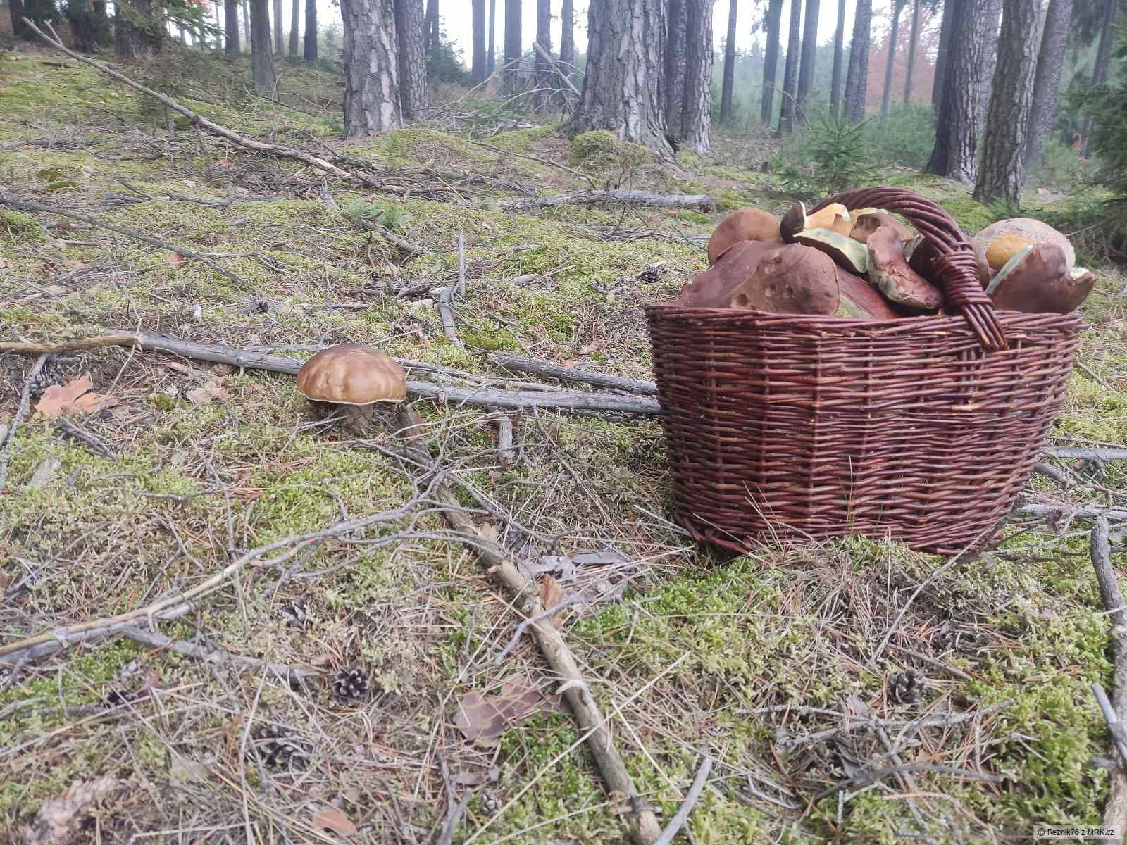 kliknutím fotku zvětšíte