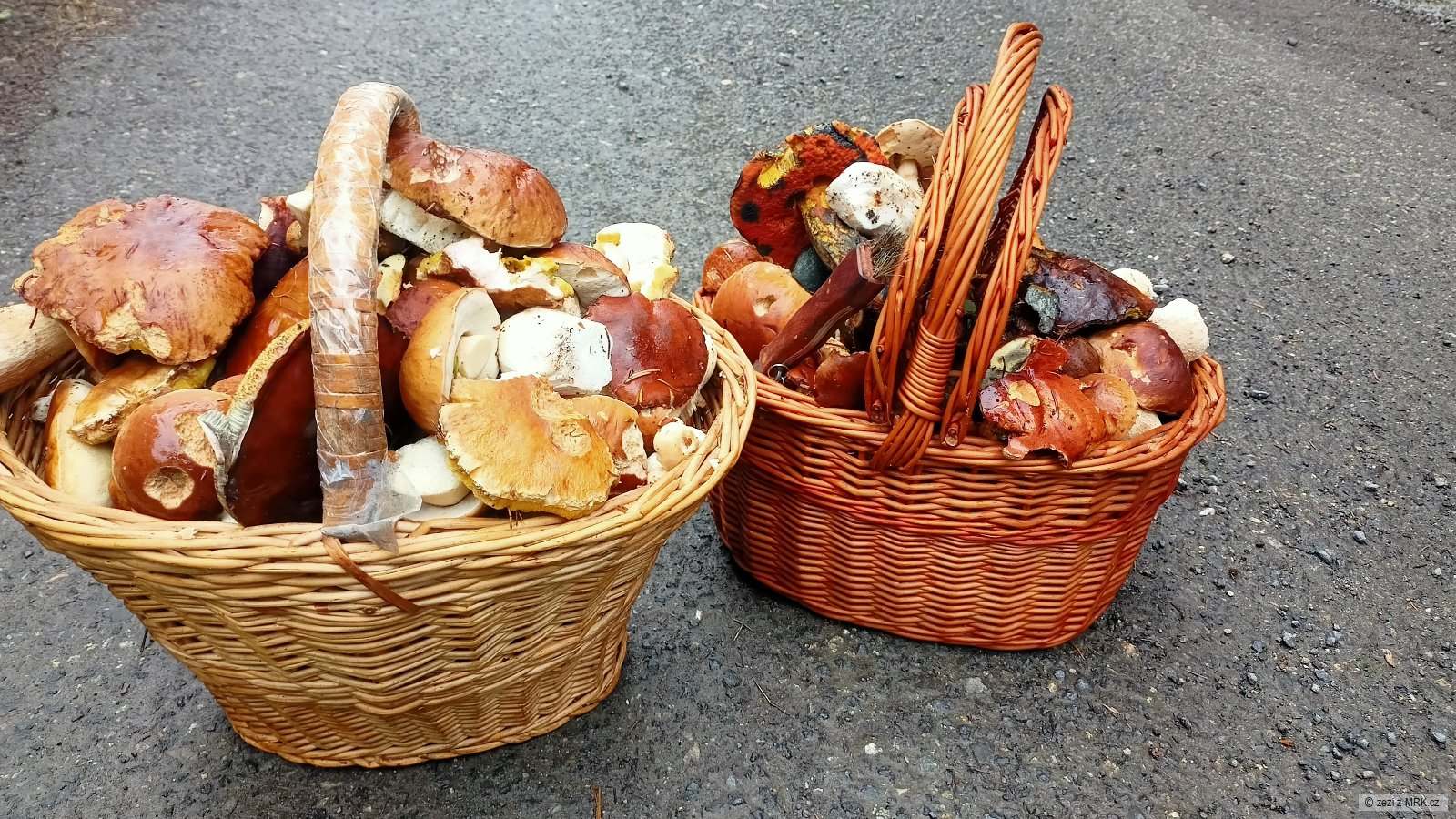 kliknutím fotku zvětšíte