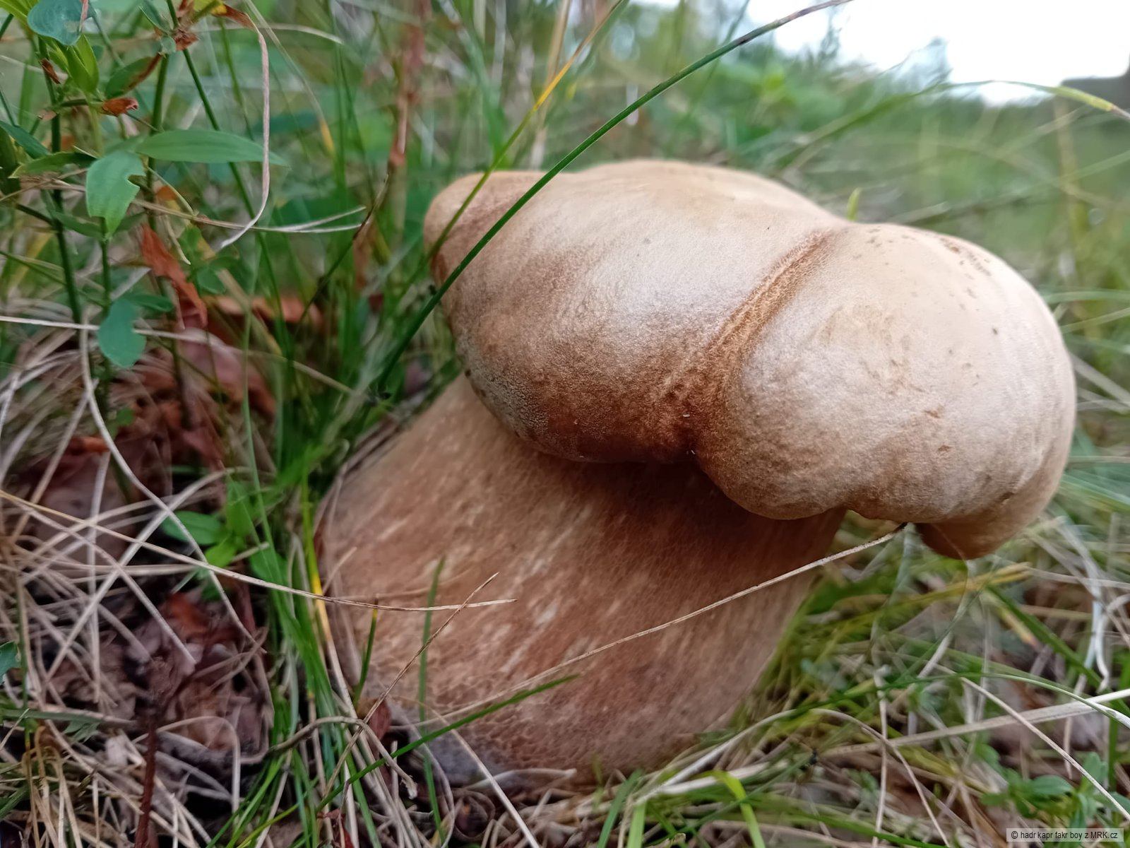 kliknutím fotku zvětšíte