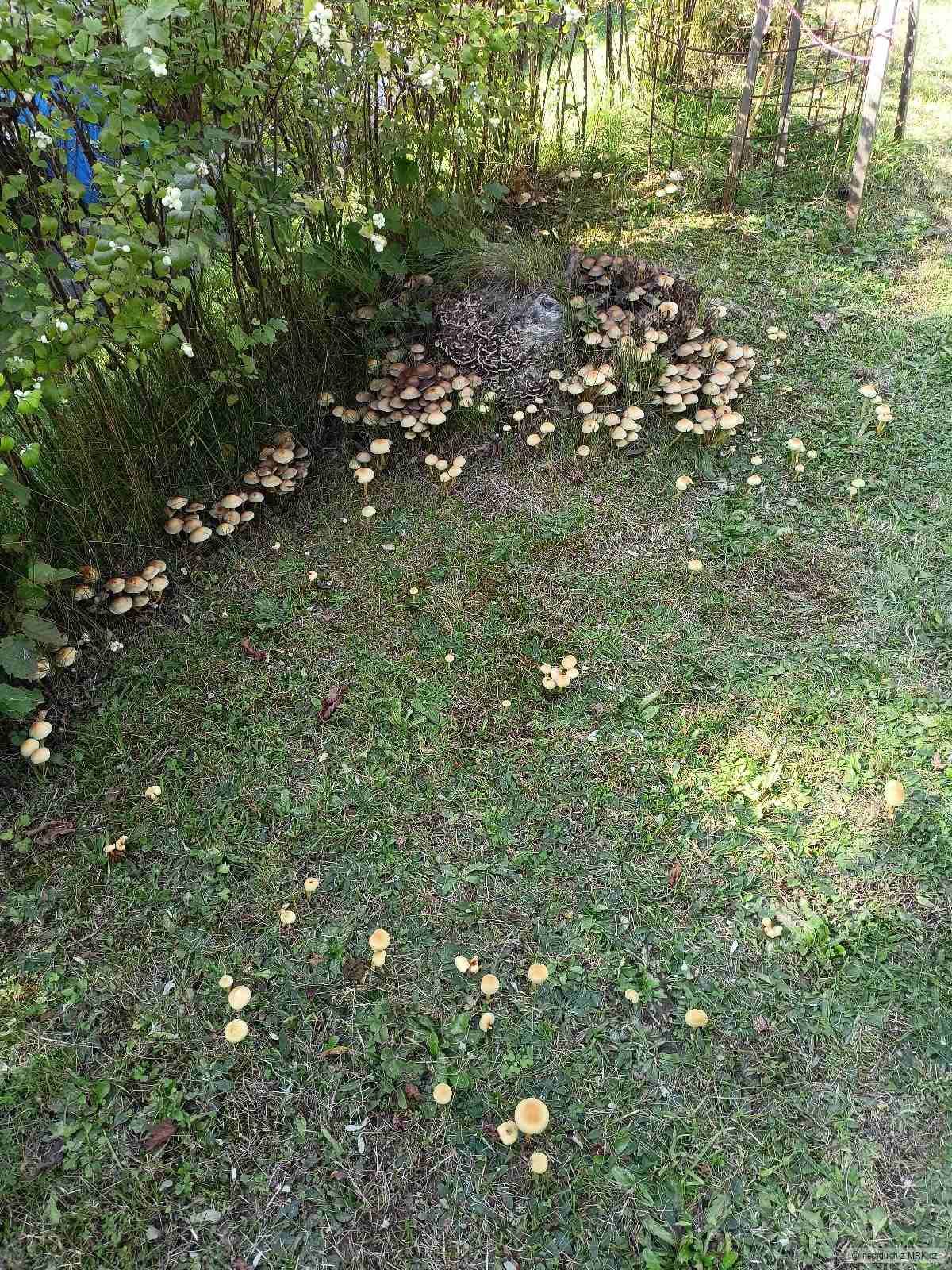 kliknutím fotku zvětšíte