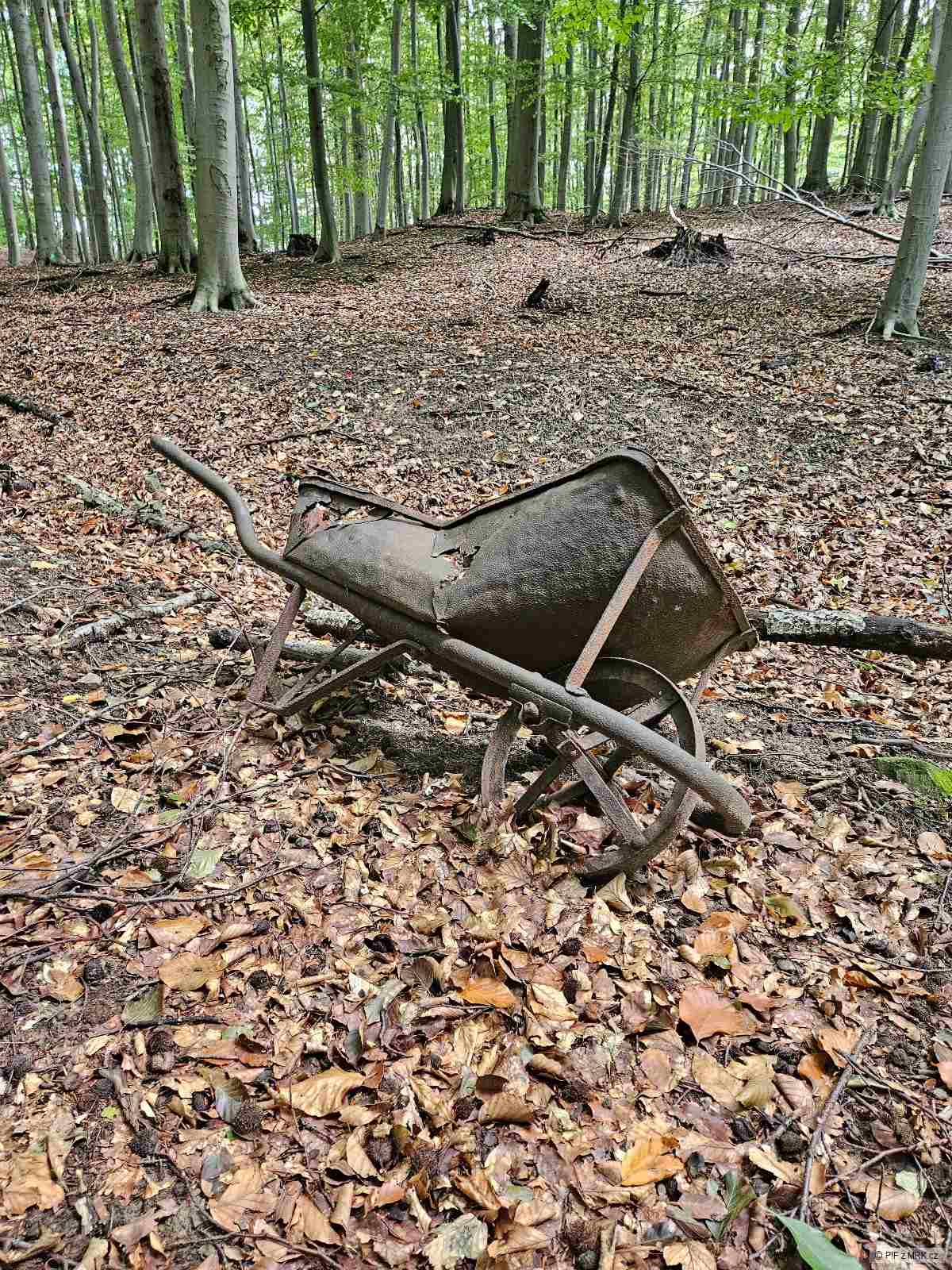 kliknutím fotku zvětšíte
