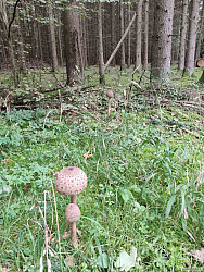 kliknutím fotku zvětšíte