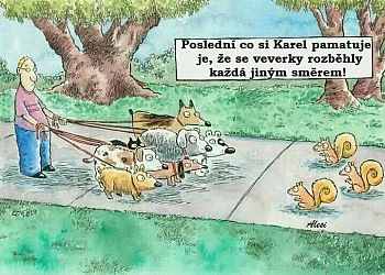 kliknutím fotku zvětšíte