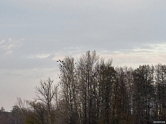 kliknutím fotku zvětšíte