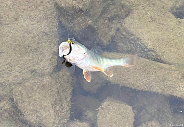 kliknutím fotku zvětšíte