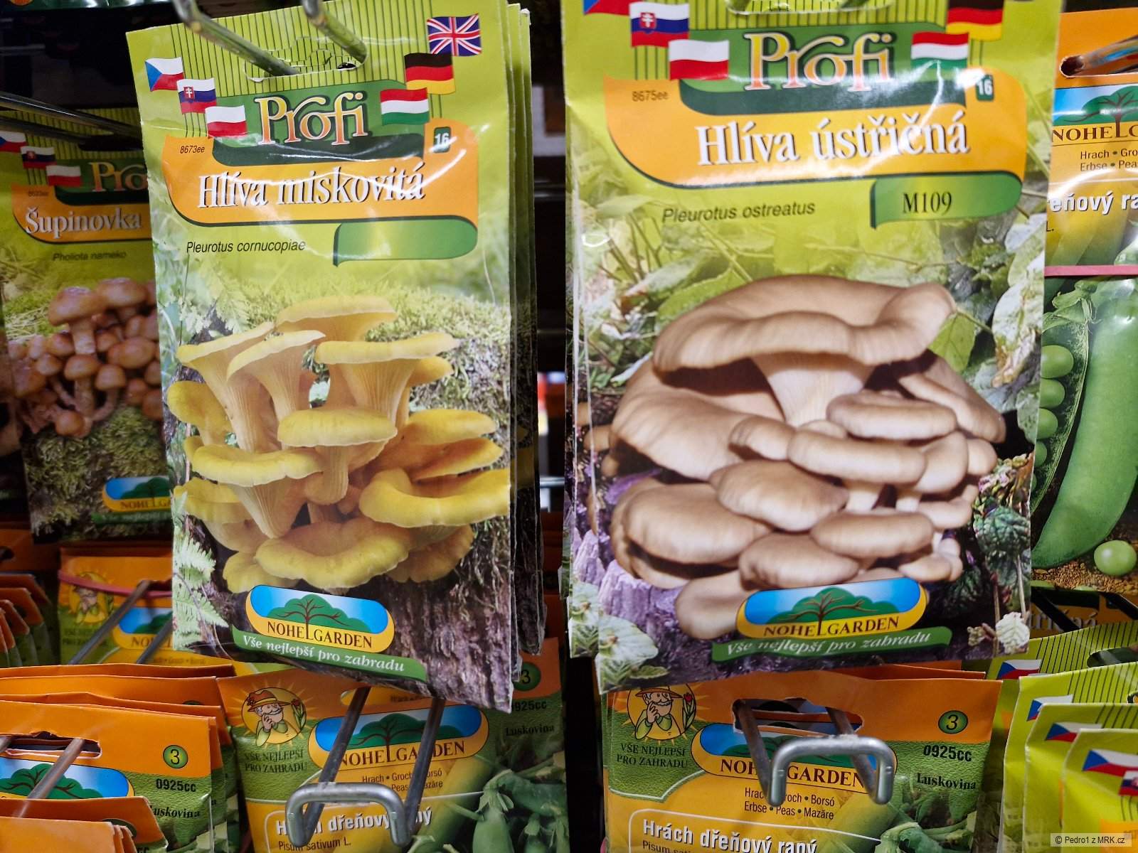 kliknutím fotku zvětšíte