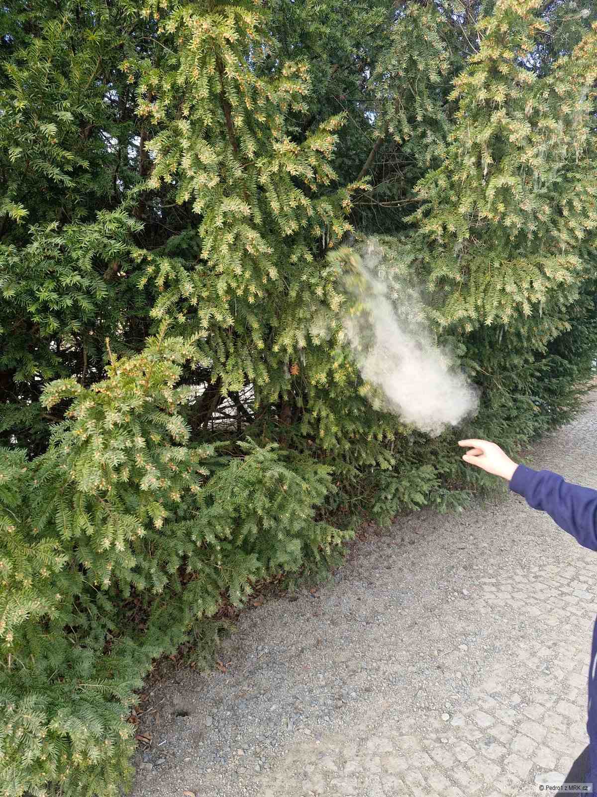 kliknutím fotku zvětšíte