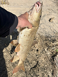 kliknutím fotku zvětšíte