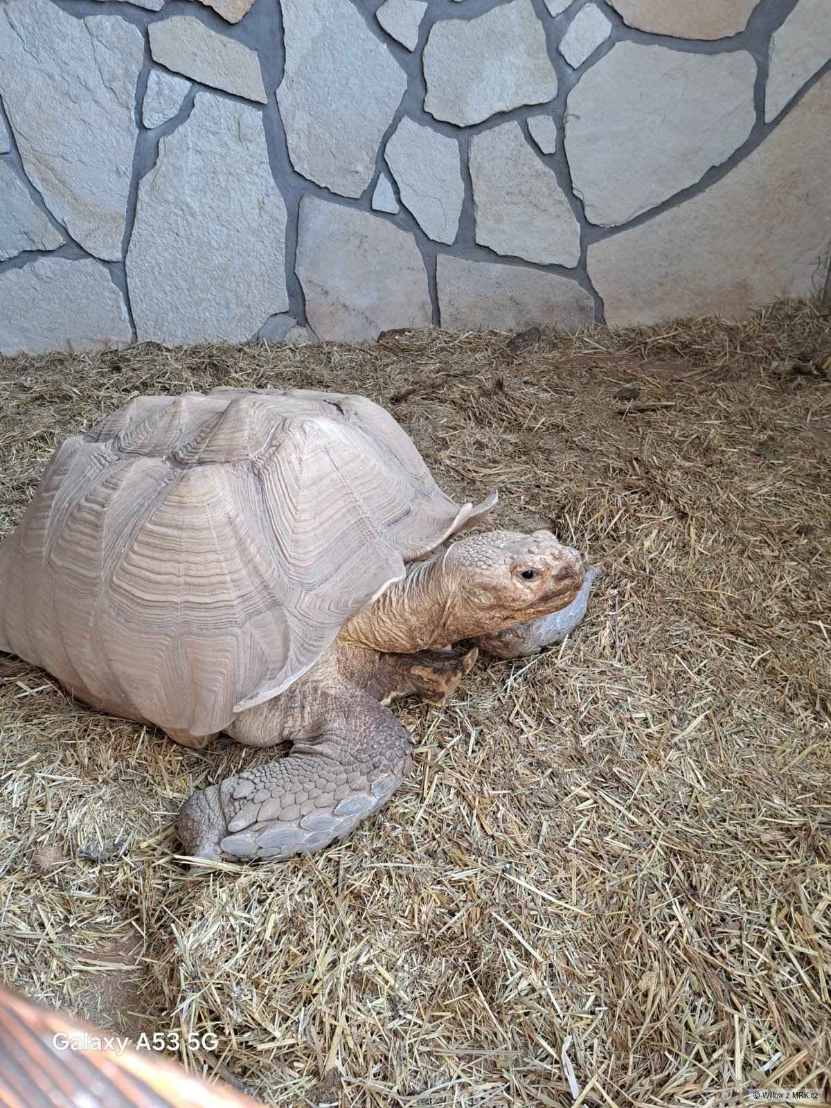 kliknutím fotku zvětšíte