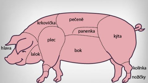 kliknutím fotku zvětšíte