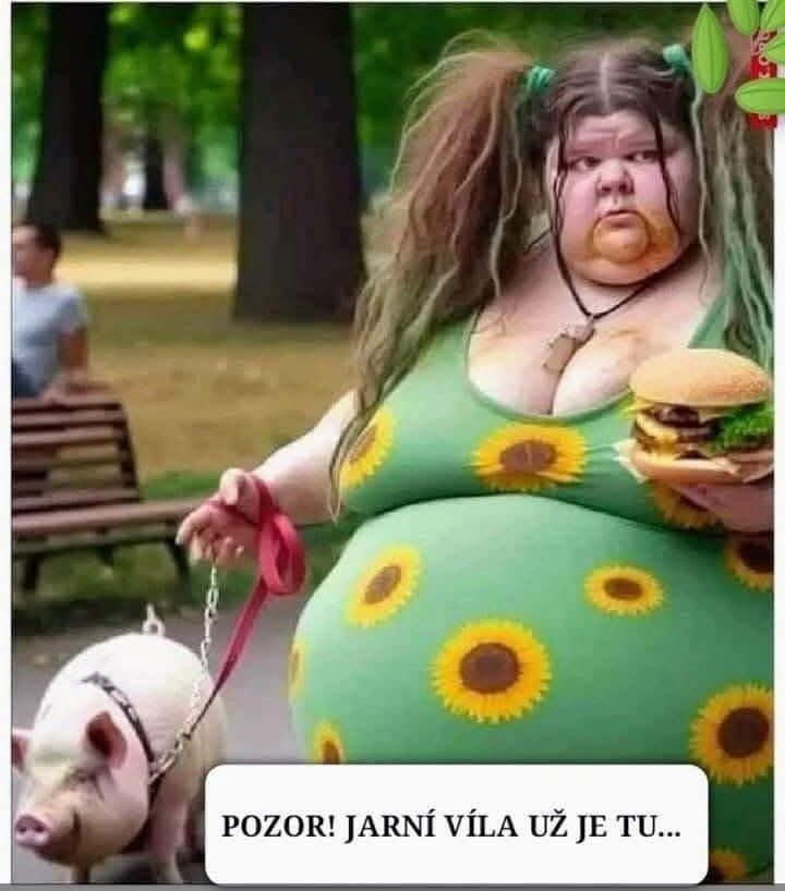 kliknutím fotku zvětšíte