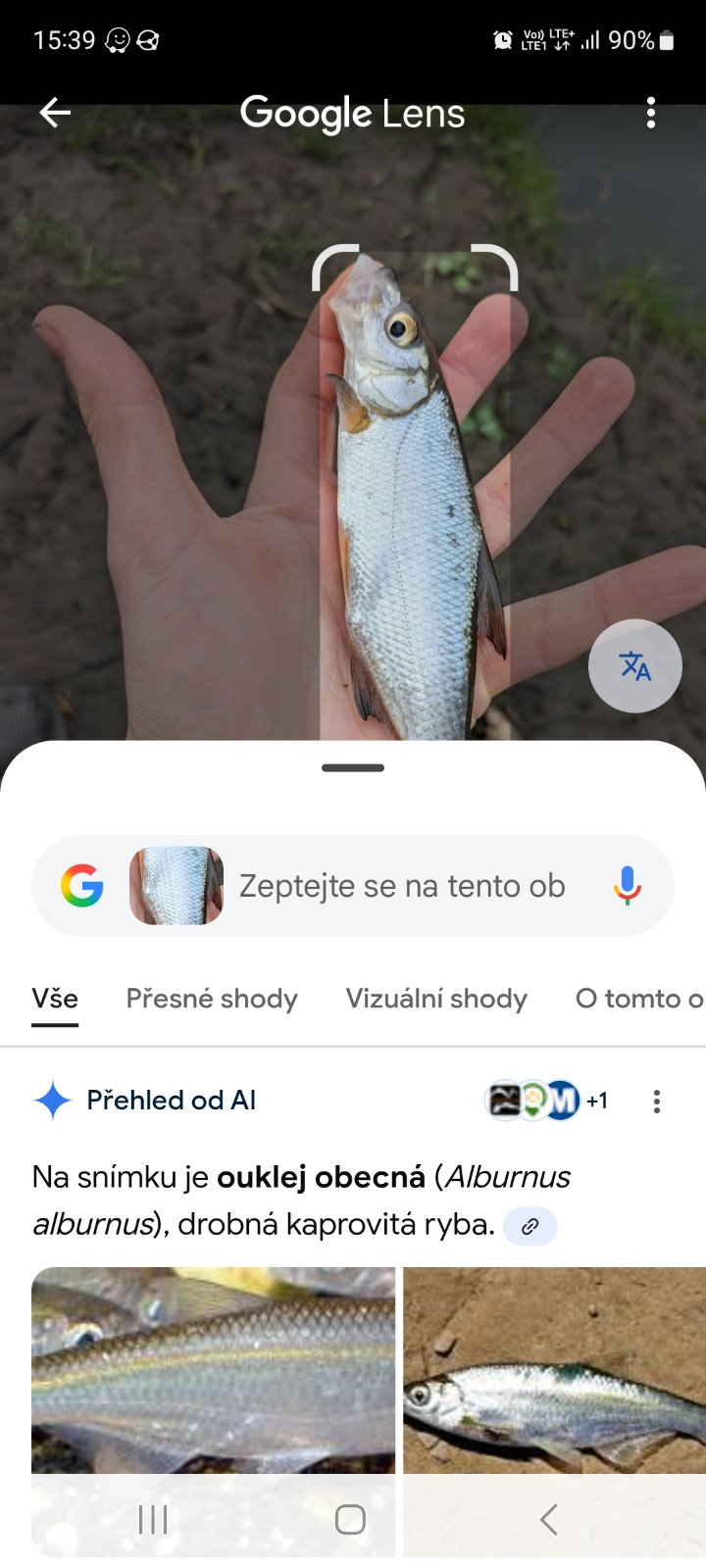 kliknutím fotku zvětšíte