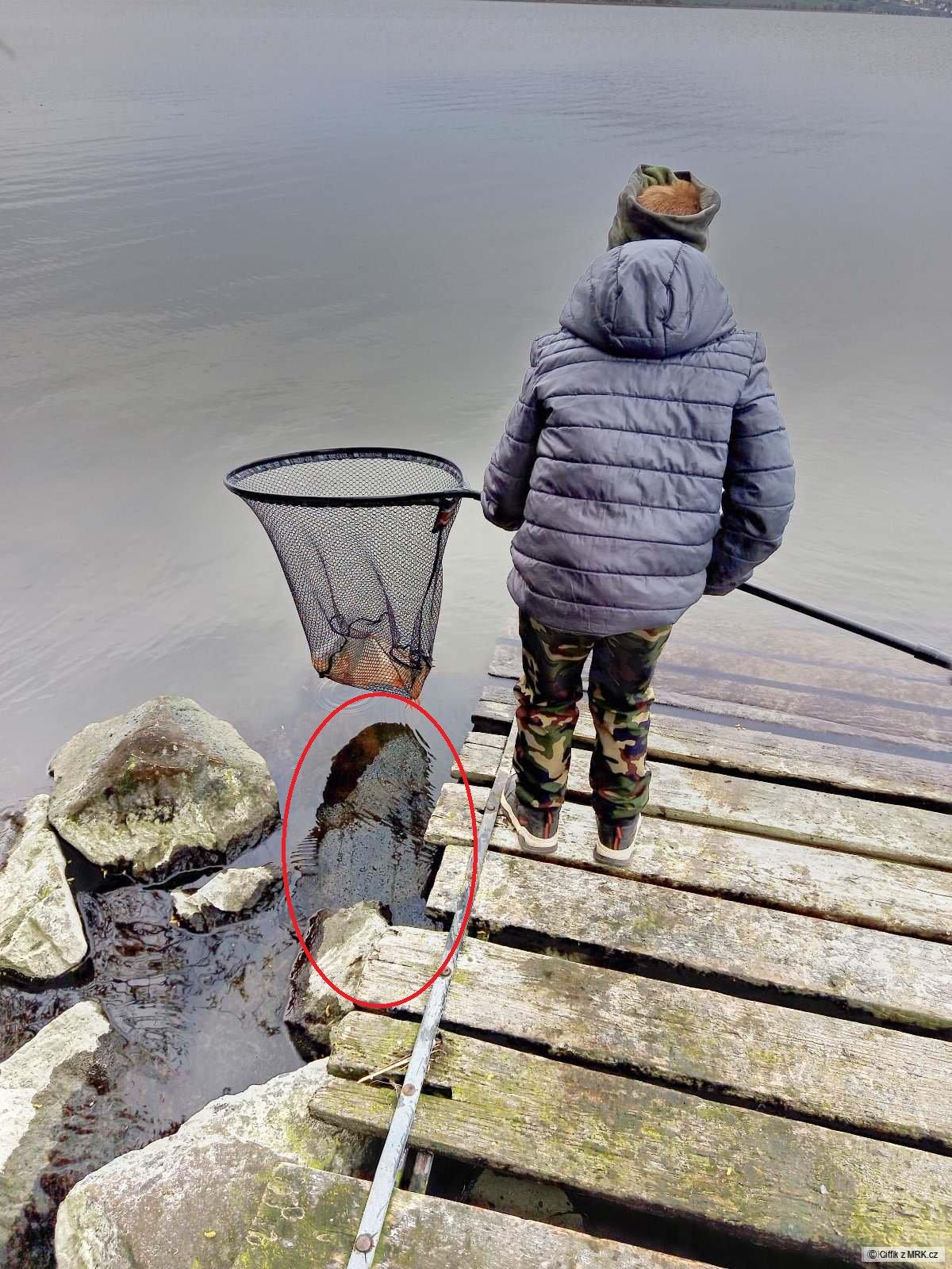 kliknutím fotku zvětšíte