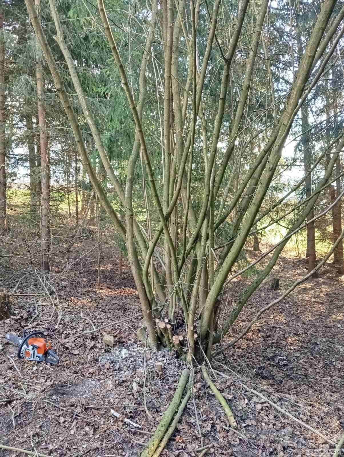 kliknutím fotku zvětšíte