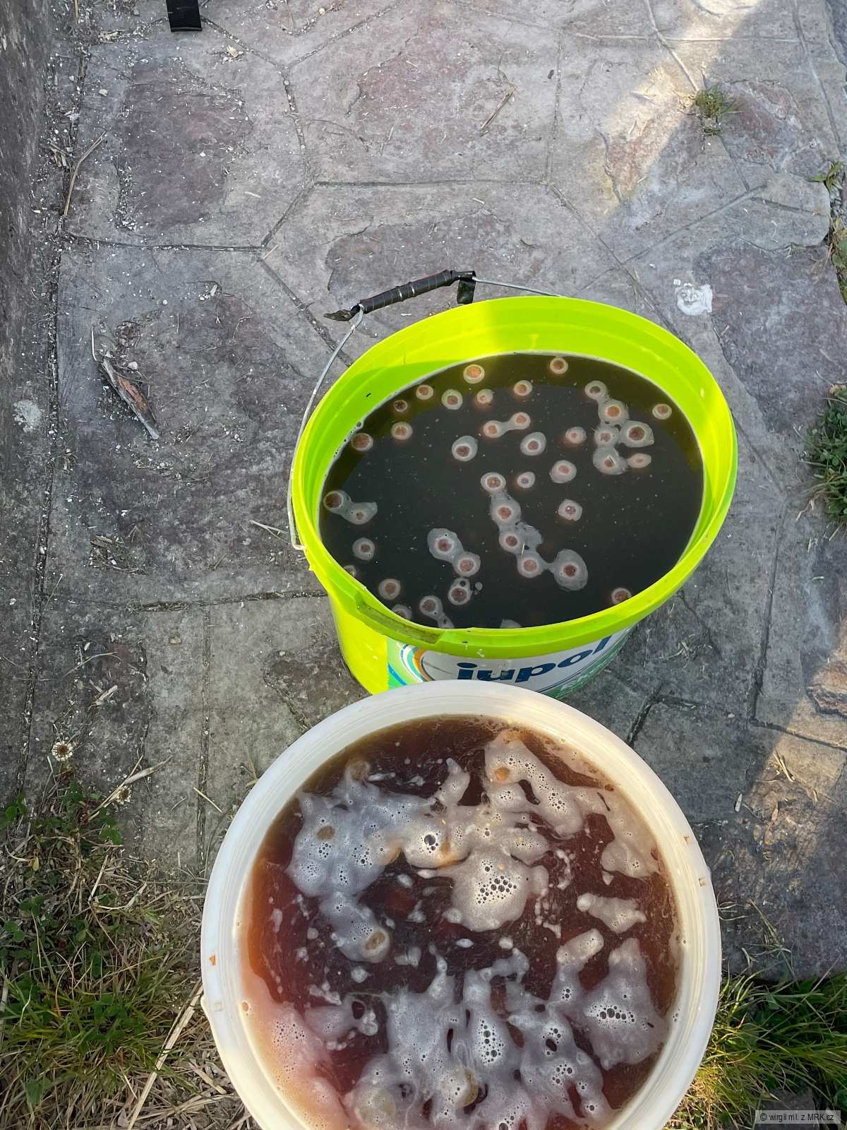 kliknutím fotku zvětšíte