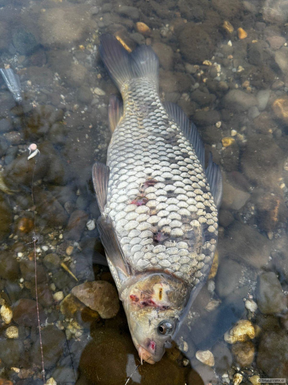 kliknutím fotku zvětšíte