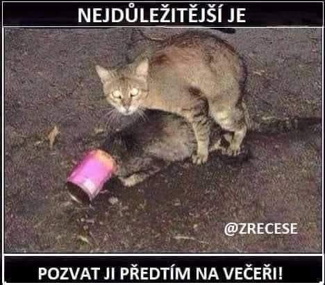 kliknutím fotku zvětšíte