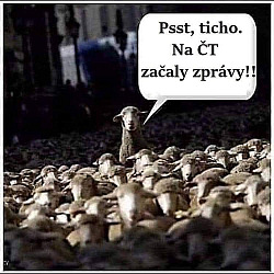 kliknutím fotku zvětšíte