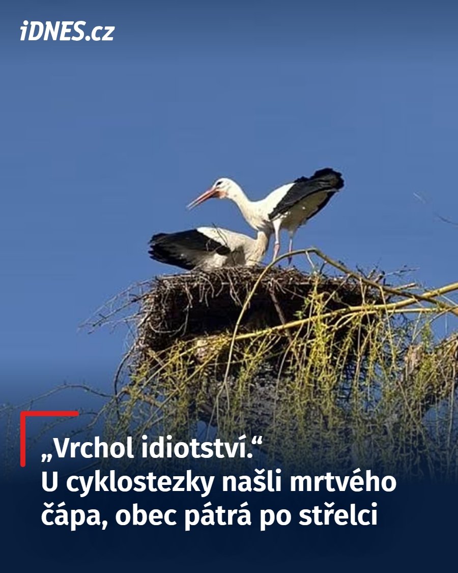 kliknutím fotku zvětšíte