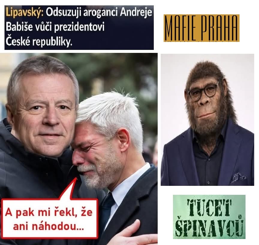 kliknutím fotku zvětšíte