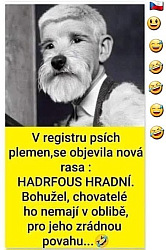 kliknutím fotku zvětšíte