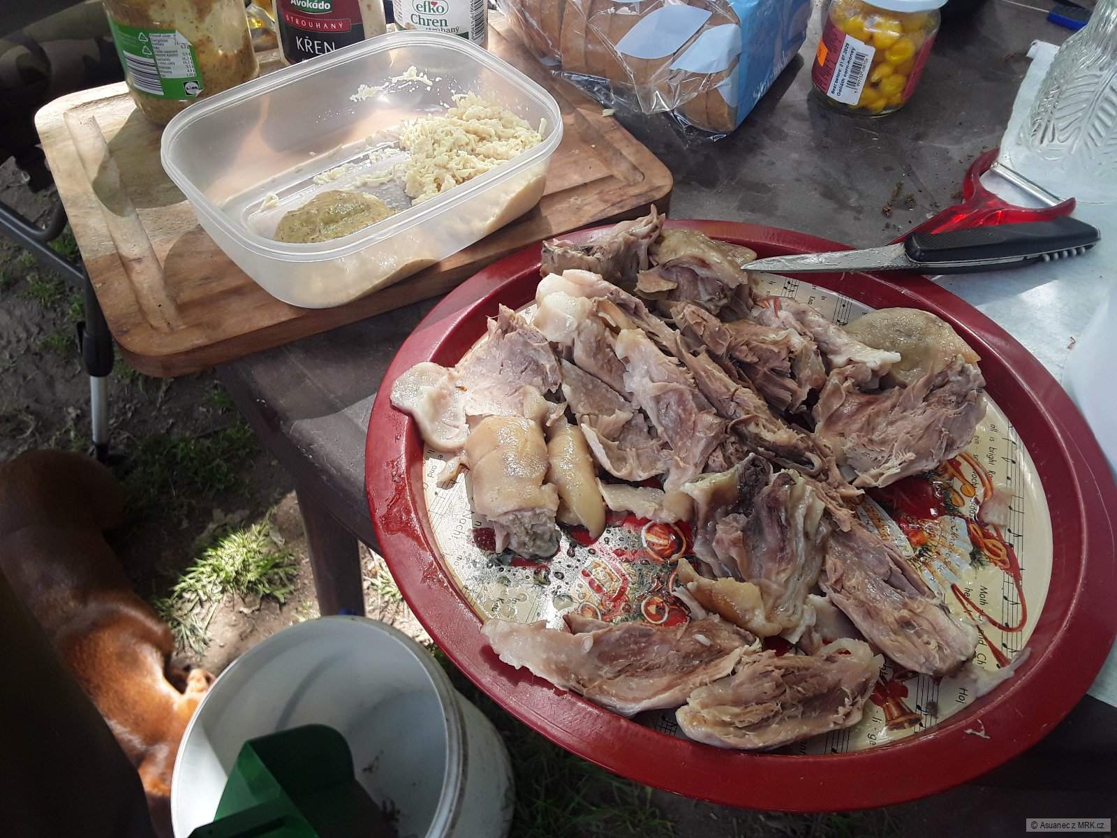 kliknutím fotku zvětšíte