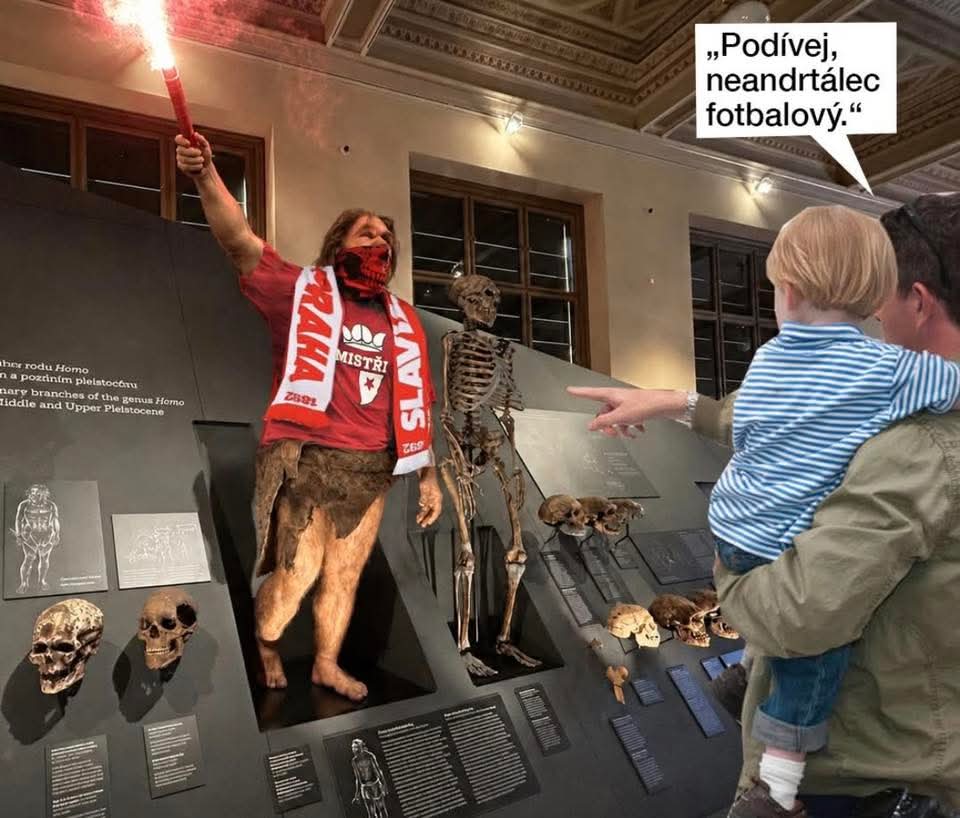 kliknutím fotku zvětšíte