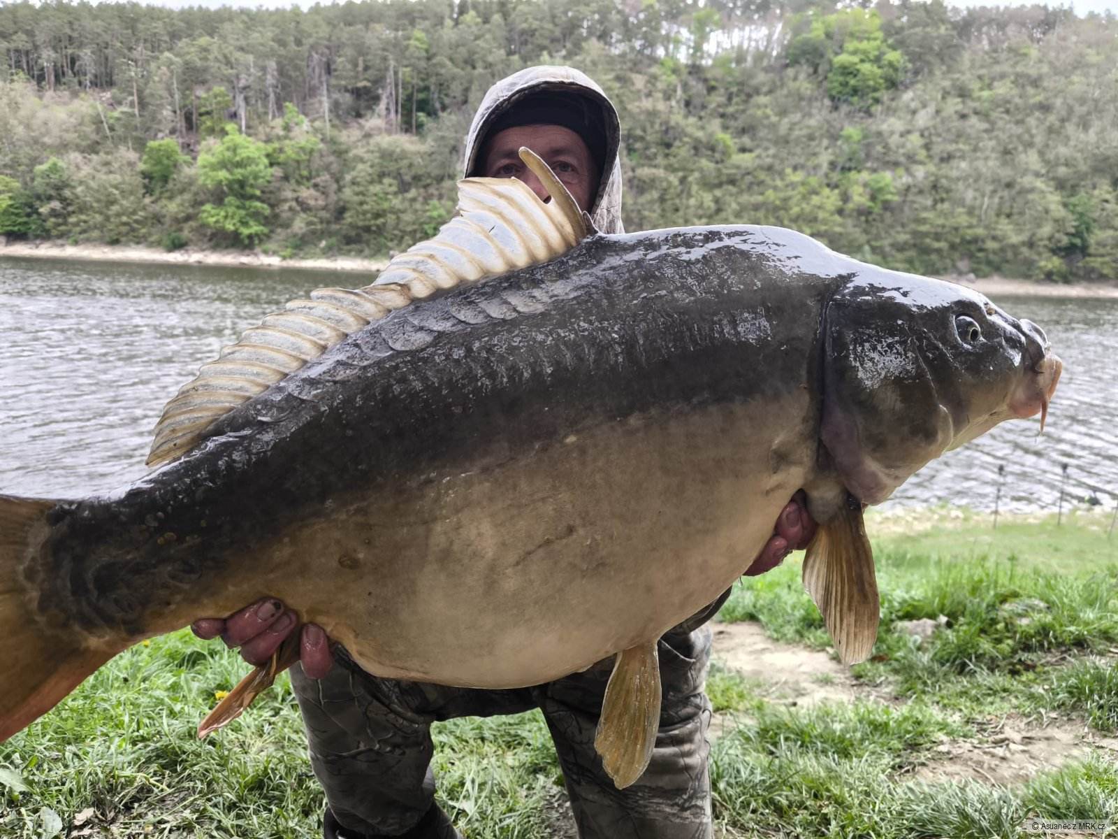 kliknutím fotku zvětšíte