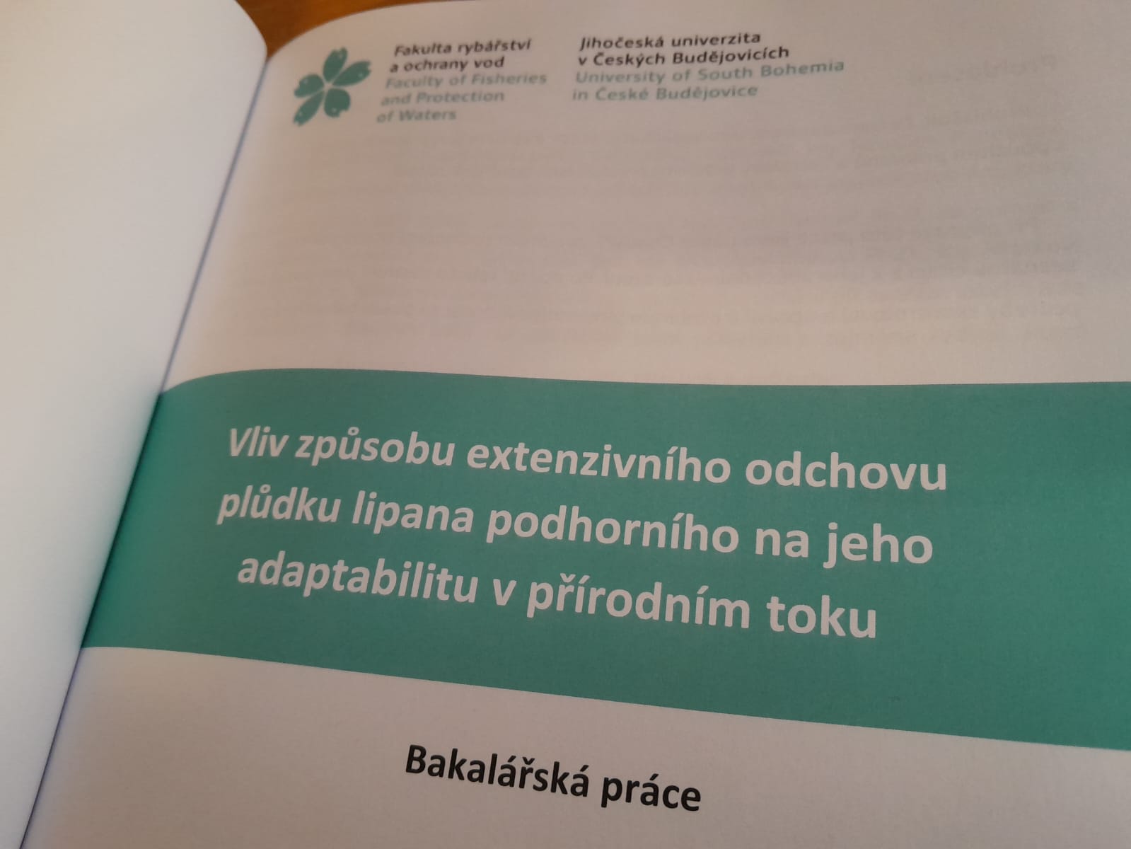 kliknutím fotku zvětšíte