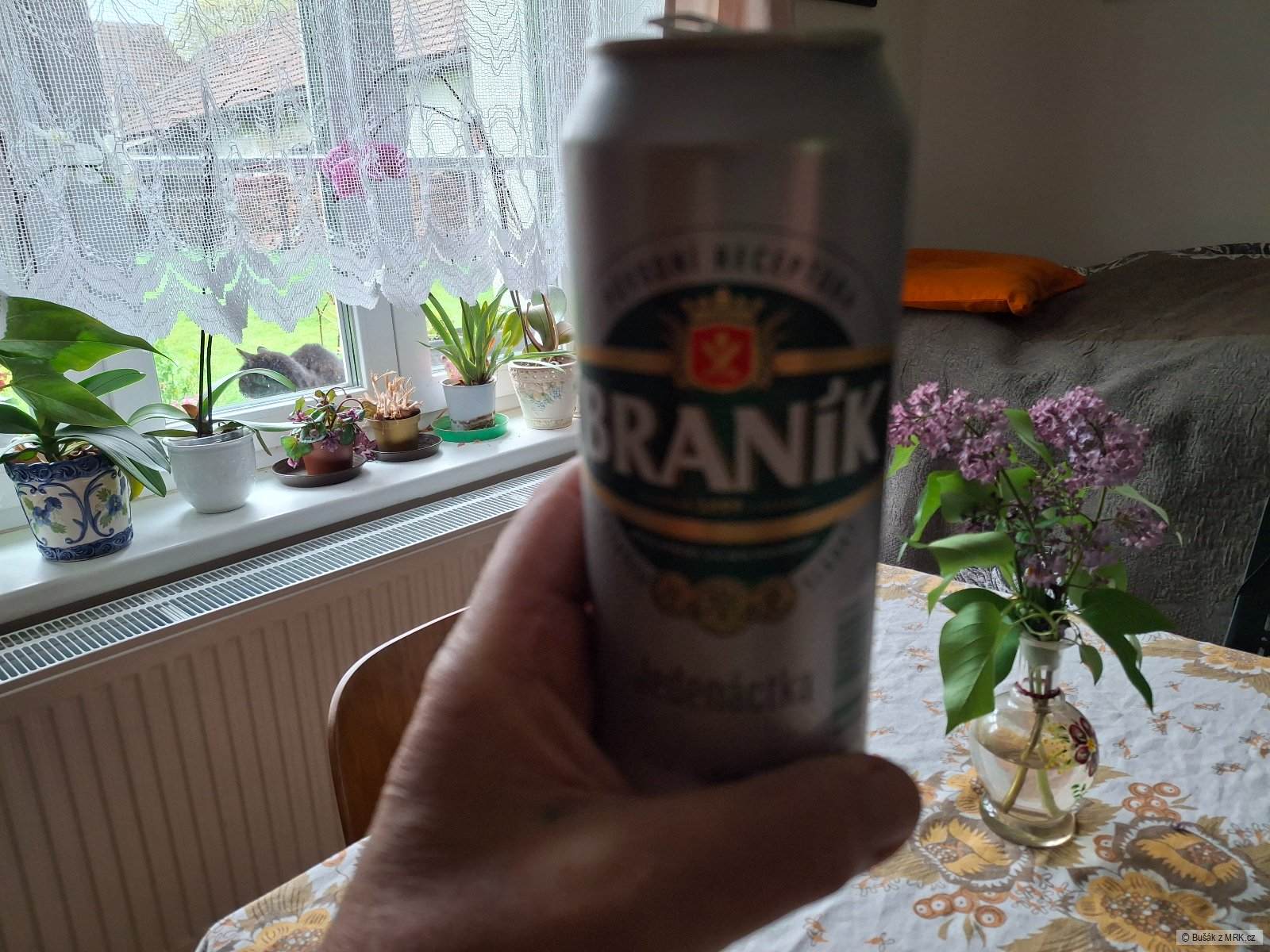 kliknutím fotku zvětšíte