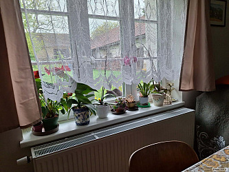 kliknutím fotku zvětšíte