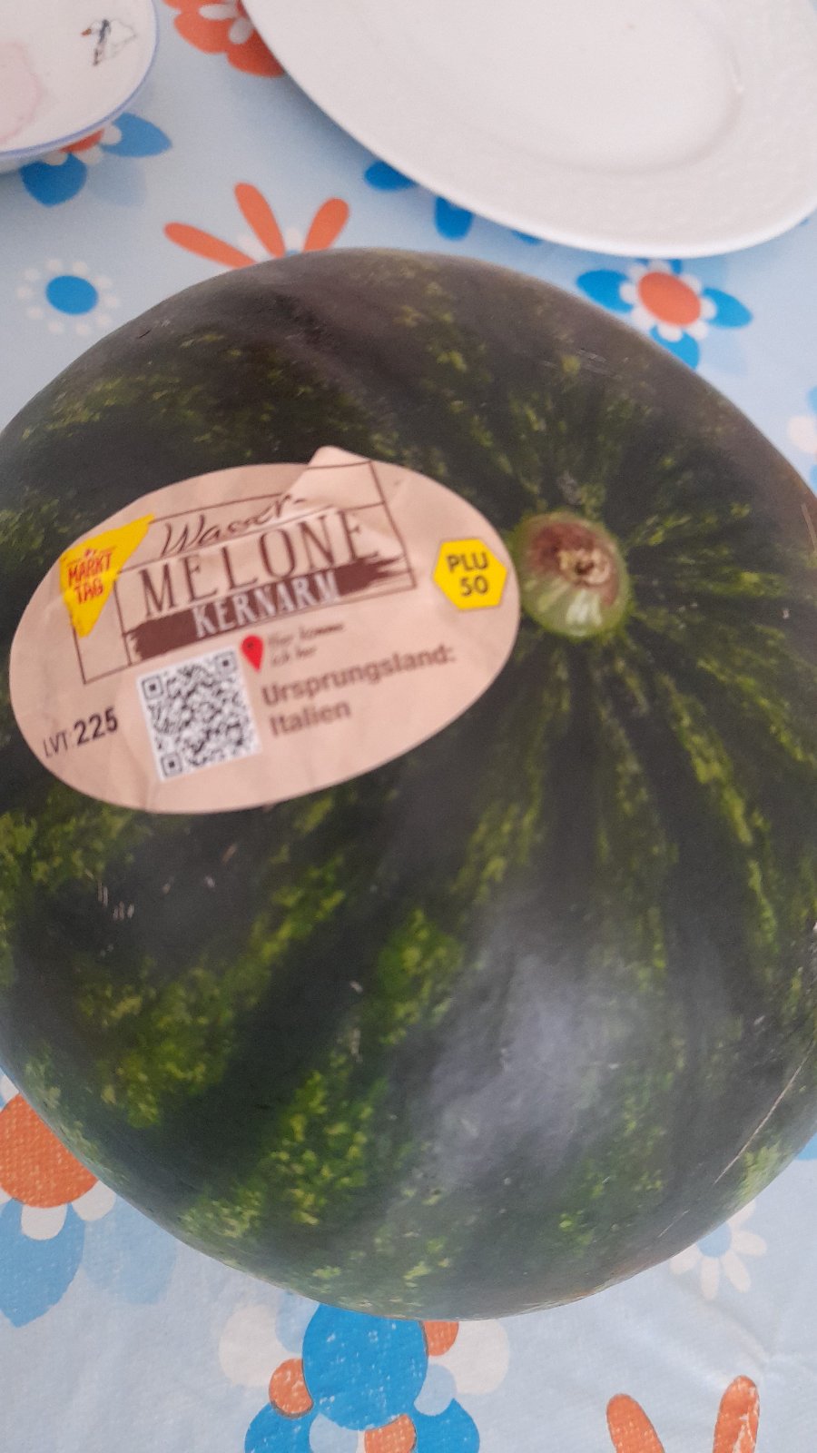 kliknutím fotku zvětšíte