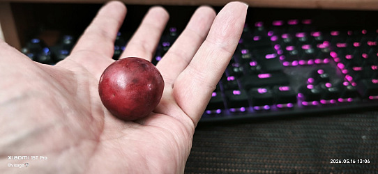 kliknutím fotku zvětšíte