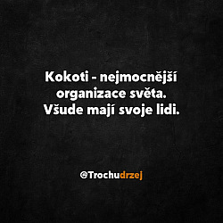 kliknutím fotku zvětšíte