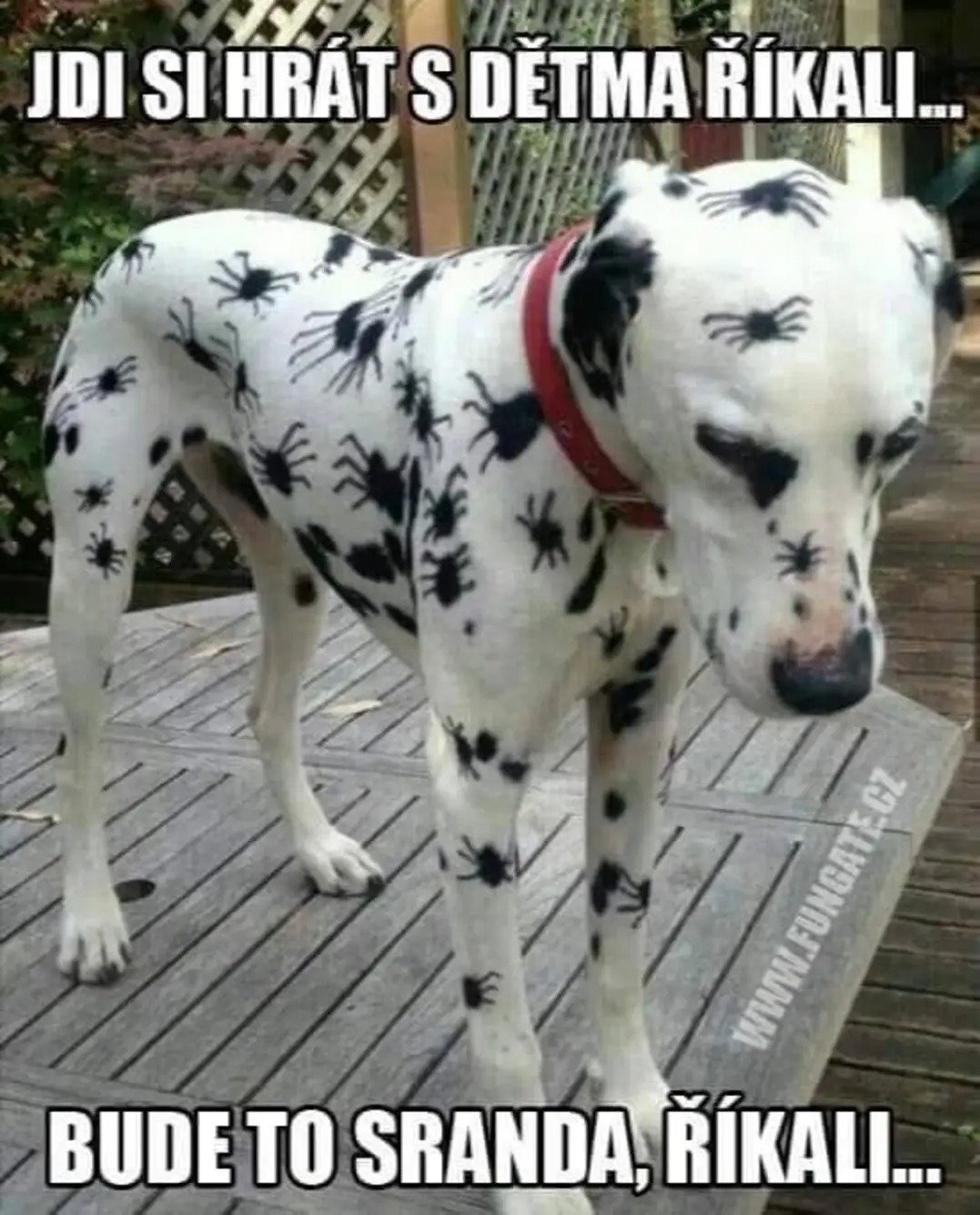 kliknutím fotku zvětšíte