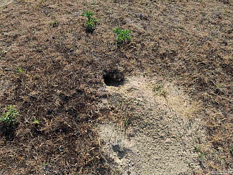 kliknutím fotku zvětšíte