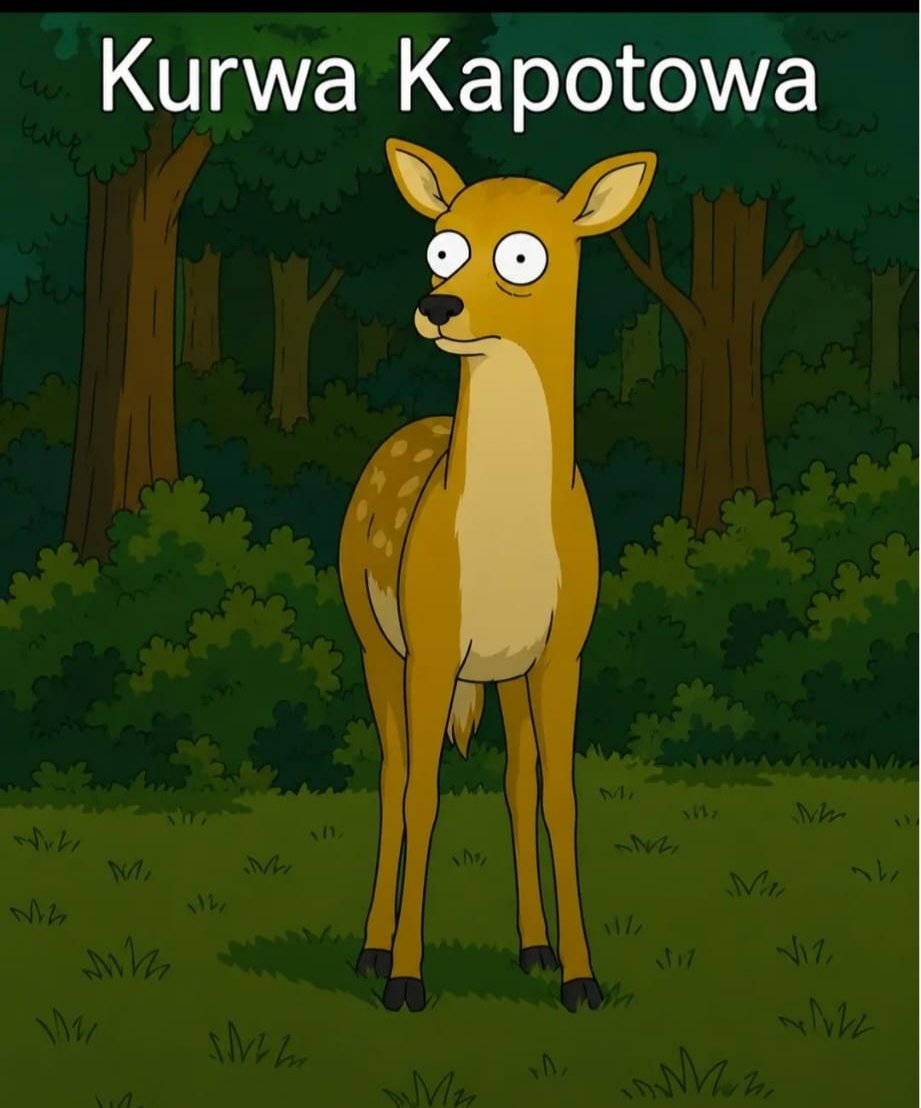 kliknutím fotku zvětšíte