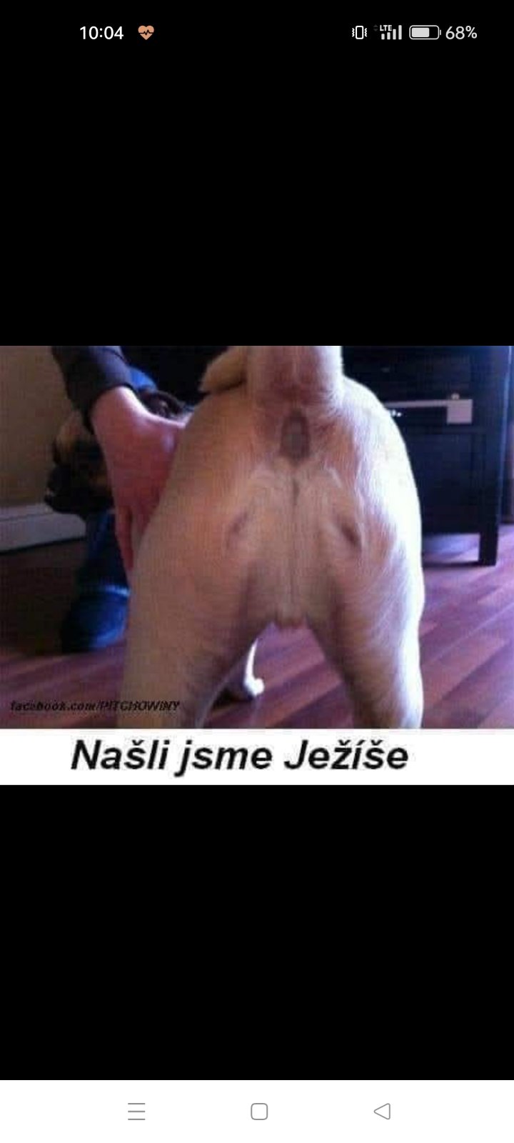 kliknutím fotku zvětšíte
