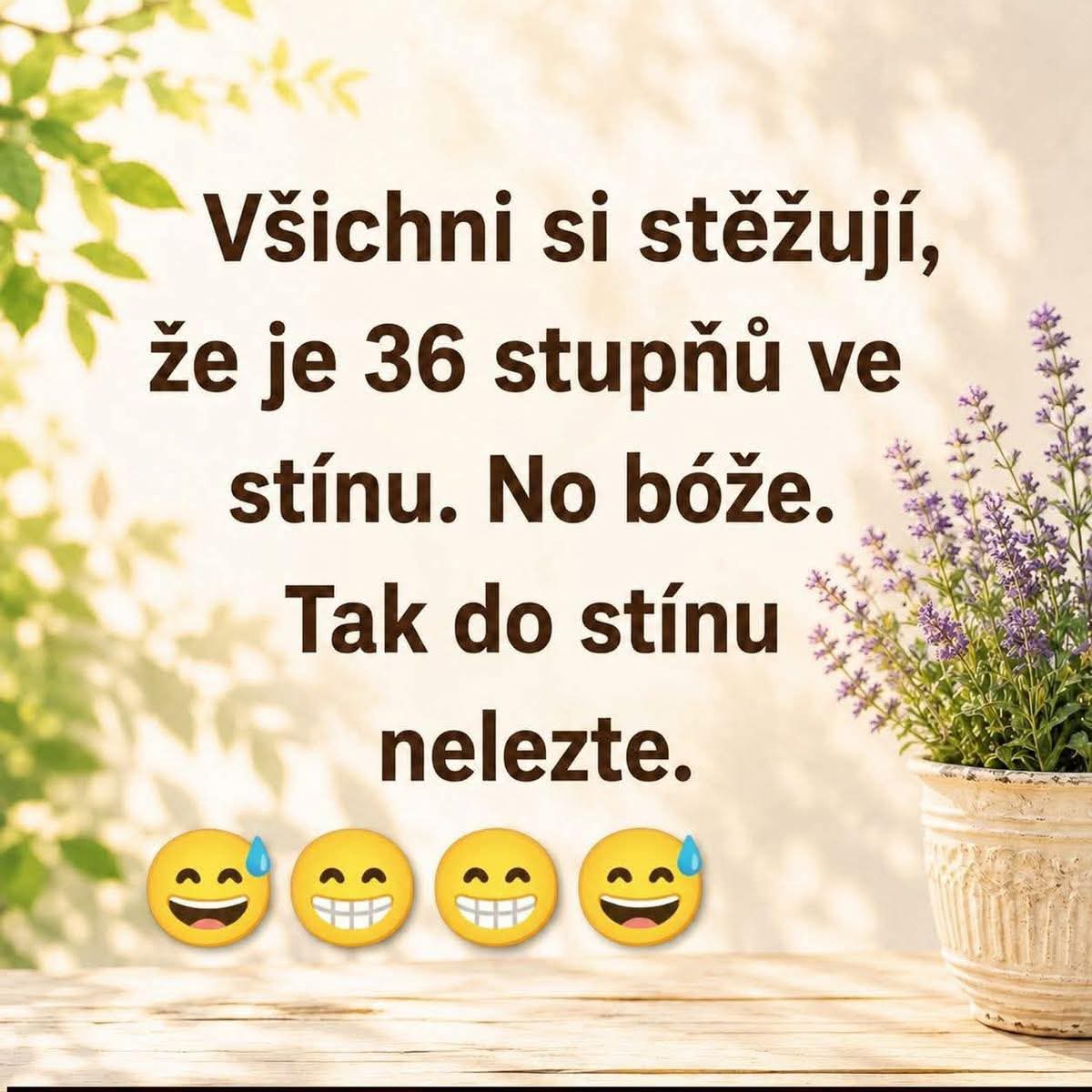 kliknutím fotku zvětšíte